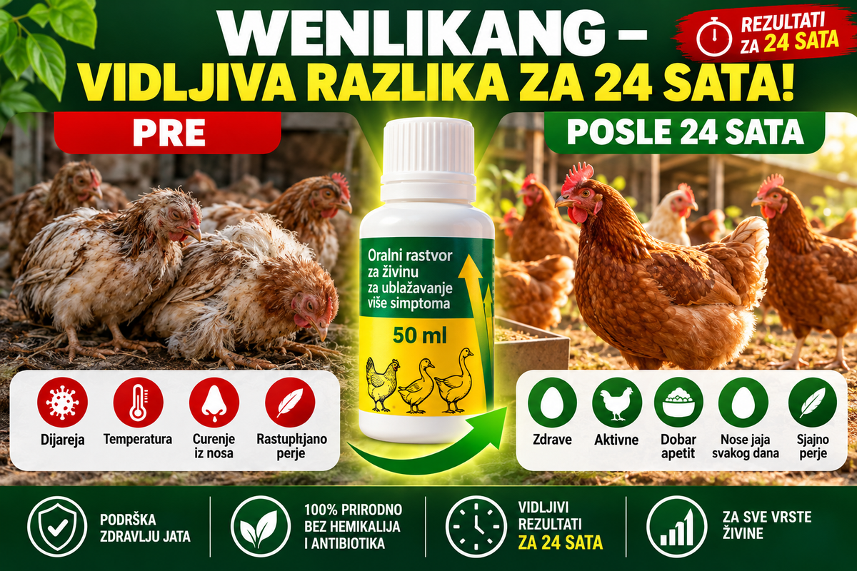 Koke prestale da nose jaja? WenLiKang – oralni rastvor 50 ml
